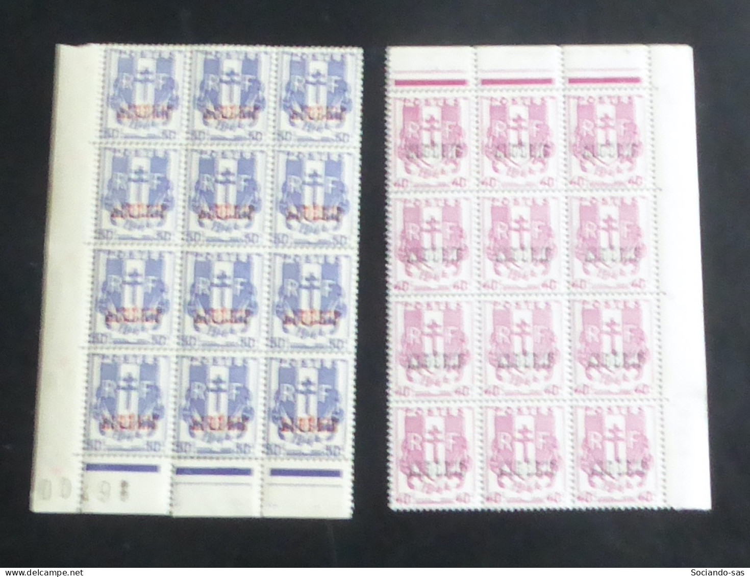 ALGERIE - 1945-47 - N°YT. 225 Et 226 - Chaines 40c Et 50c En Blocs De 12 Bord De Feuille - Neuf Luxe ** / MNH - Neufs