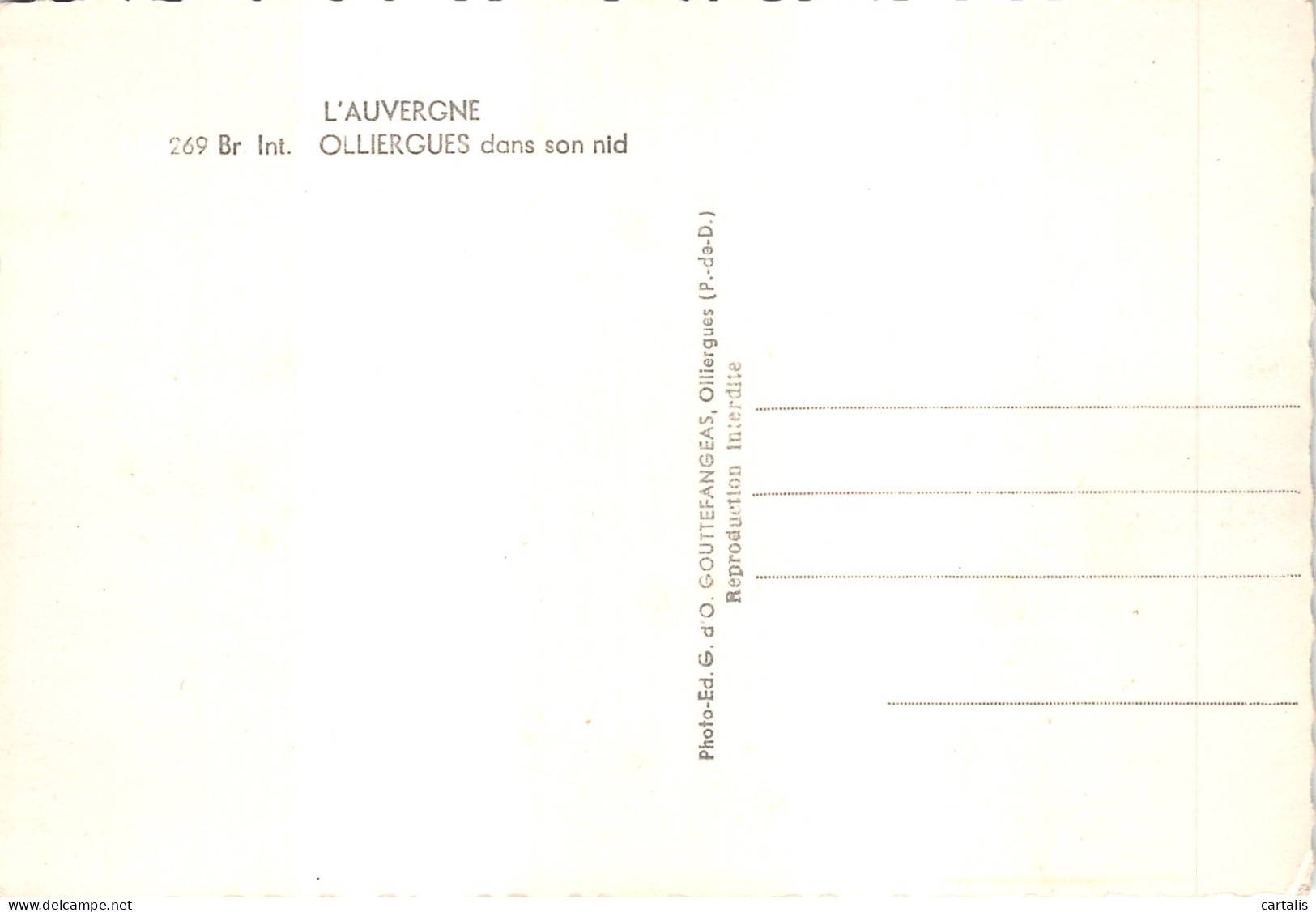 63-OLLIERGUES-N°618-D/0309 - Olliergues