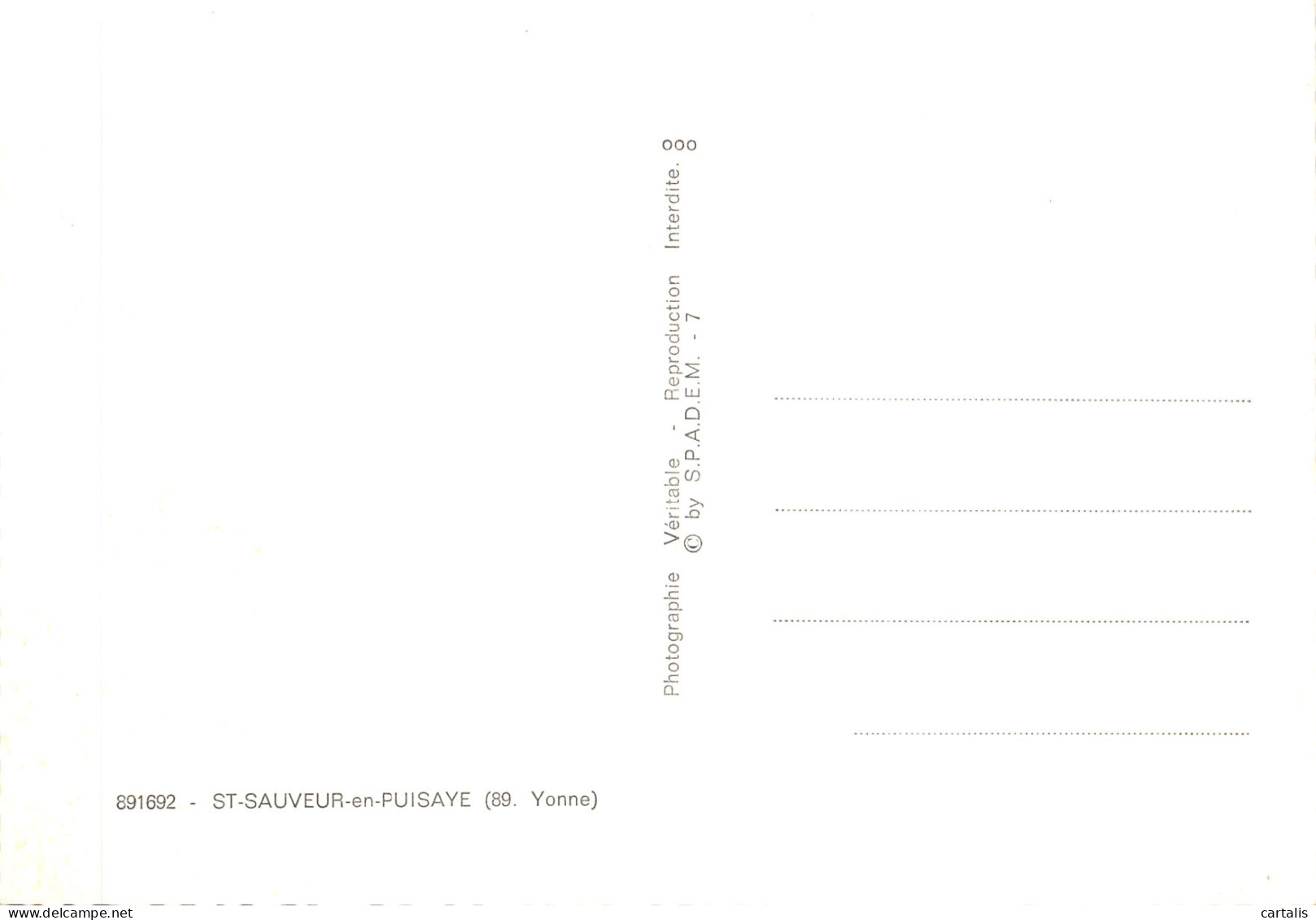 89-SAINT SAUVEUR EN PUISAYE-N°621-D/0349 - Saint Sauveur En Puisaye