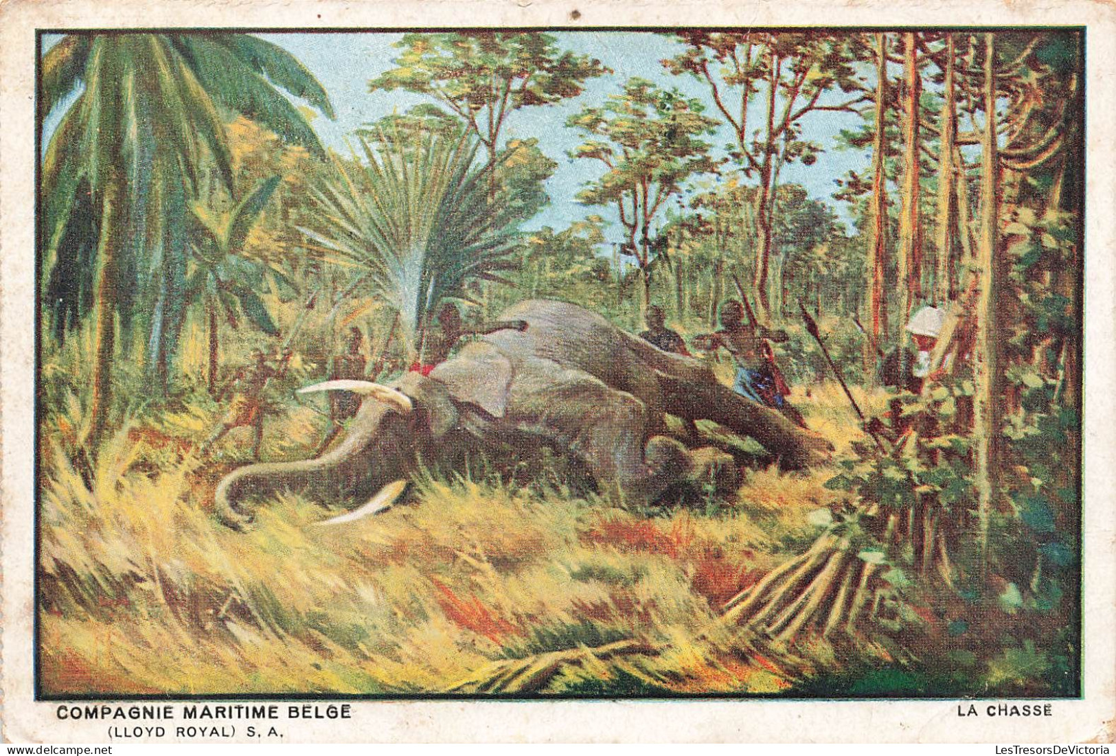 ANIMAUX &  FAUNE - Compagnie Maritime Belge (LLOYD ROYAL) S A - La Chasse- Carte Postale Ancienne - Éléphants