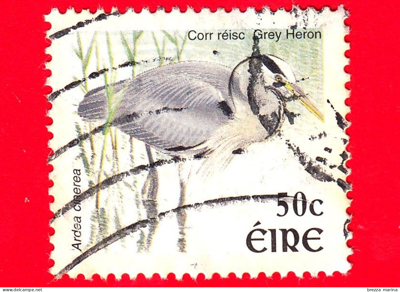 IRLANDA - EIRE - Usato - 2002 - Uccelli - Airone Cenerino (Ardea Cinerea) - 50 - Usados