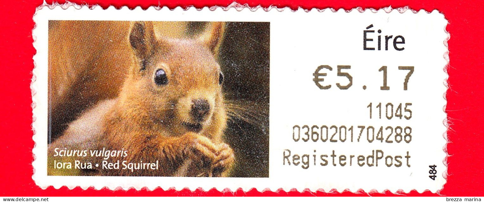 IRLANDA - EIRE - Usato - 2010 - Animali - Scoiattolo Rosso - Red Squirrel -  5.17 - Gebraucht