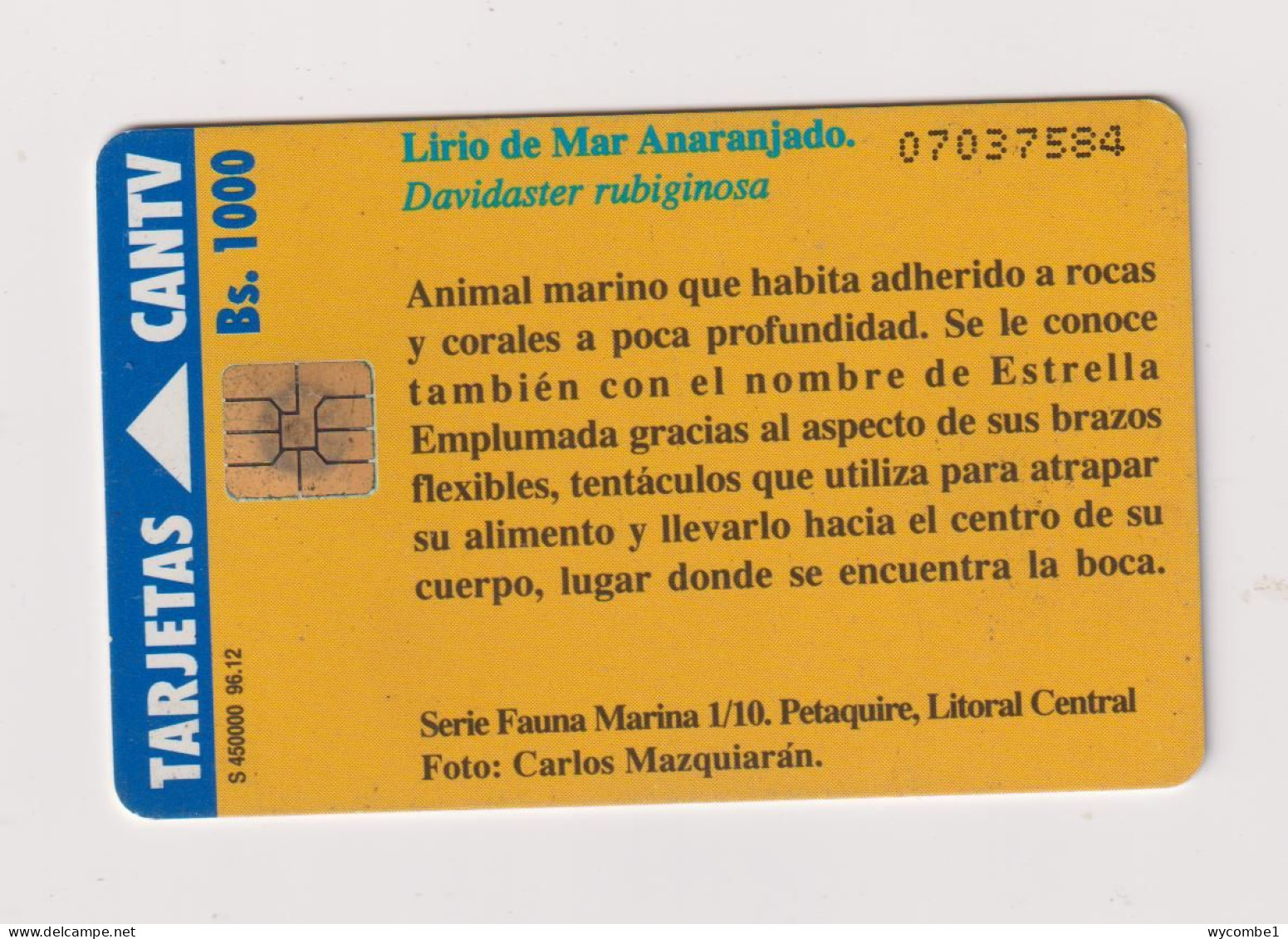 VENEZUELA  -  Sea Life Chip Phonecard - Venezuela