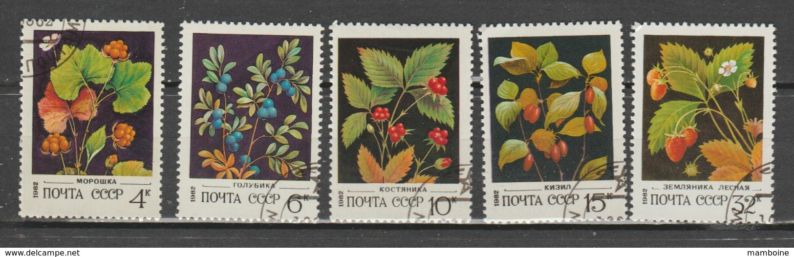 Russie  1982    Flore  N° 4887 à 91  Série Compl. Oblitérée - Usati