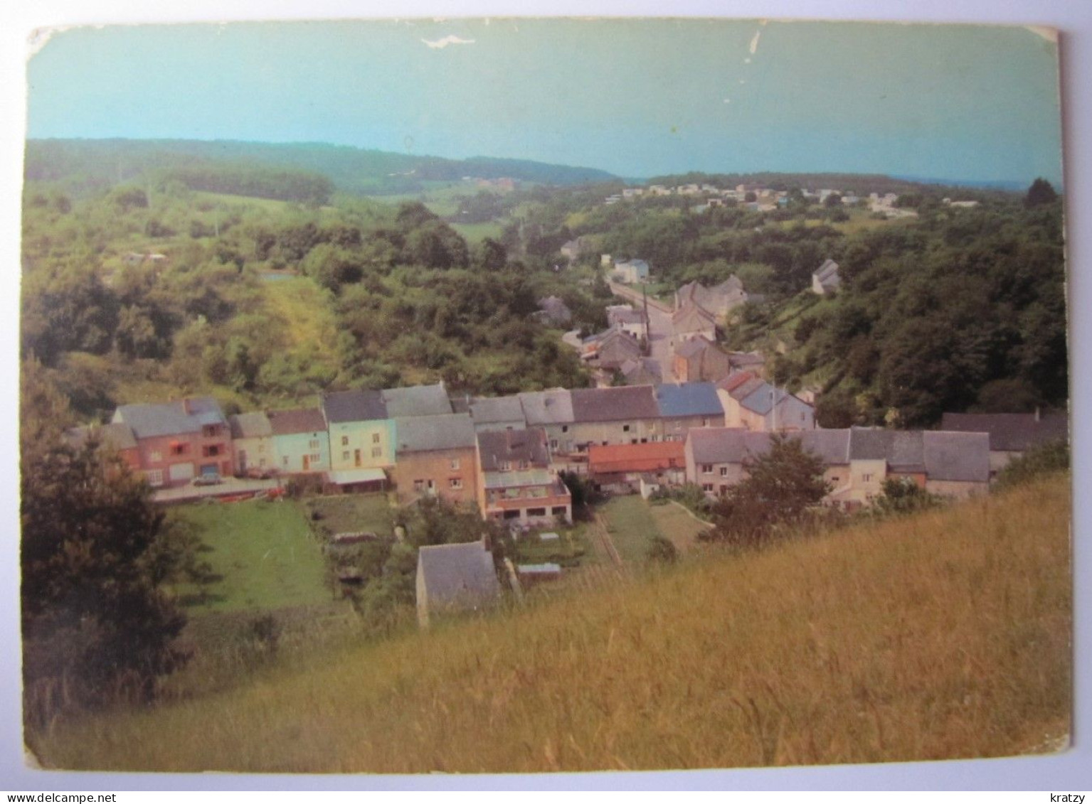 BELGIQUE - NAMUR - COUVIN - PETIGNY - Panorama - Couvin