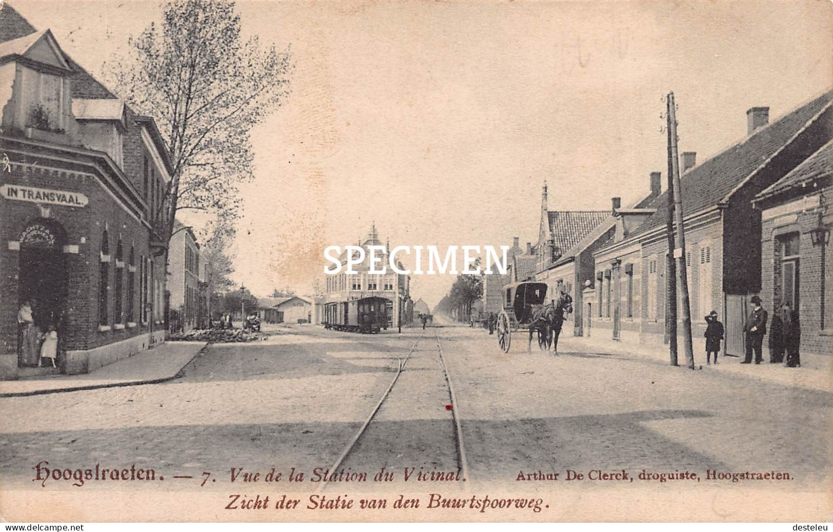 Vue De La Station Du Vicinal - Hoogstraten - Hoogstraten