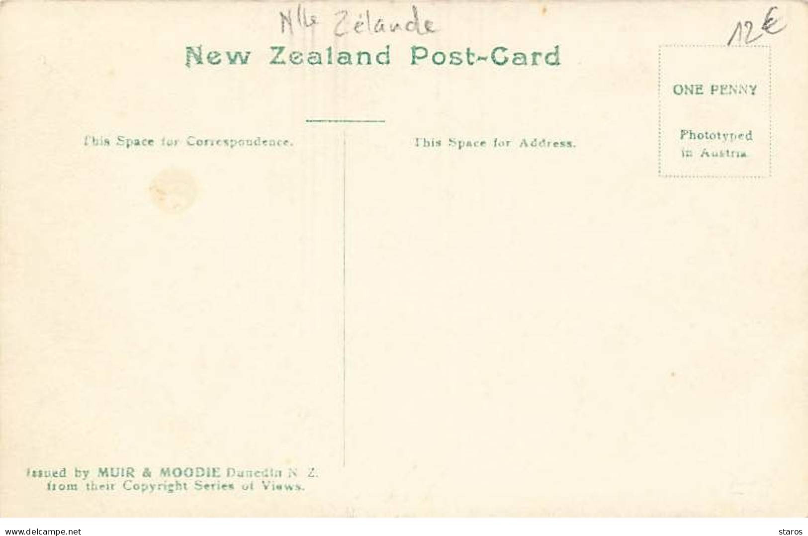 Nouvelle-Zélande - Wairoa Geyser - The Crowd Waiting To See The Soaping Rotorua - Nouvelle-Zélande