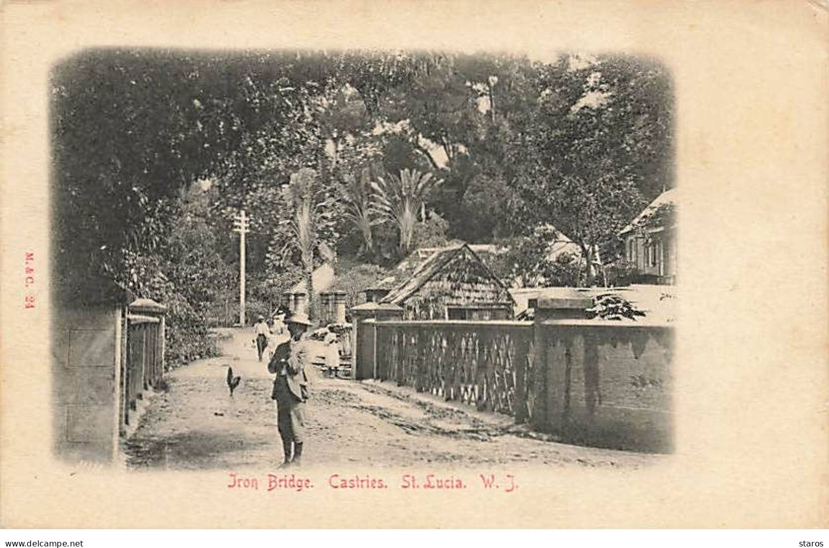 Antilles - SAINTE-LUCIE - ST-LUCIA - Iron Bridge - Castries - Saint Lucia