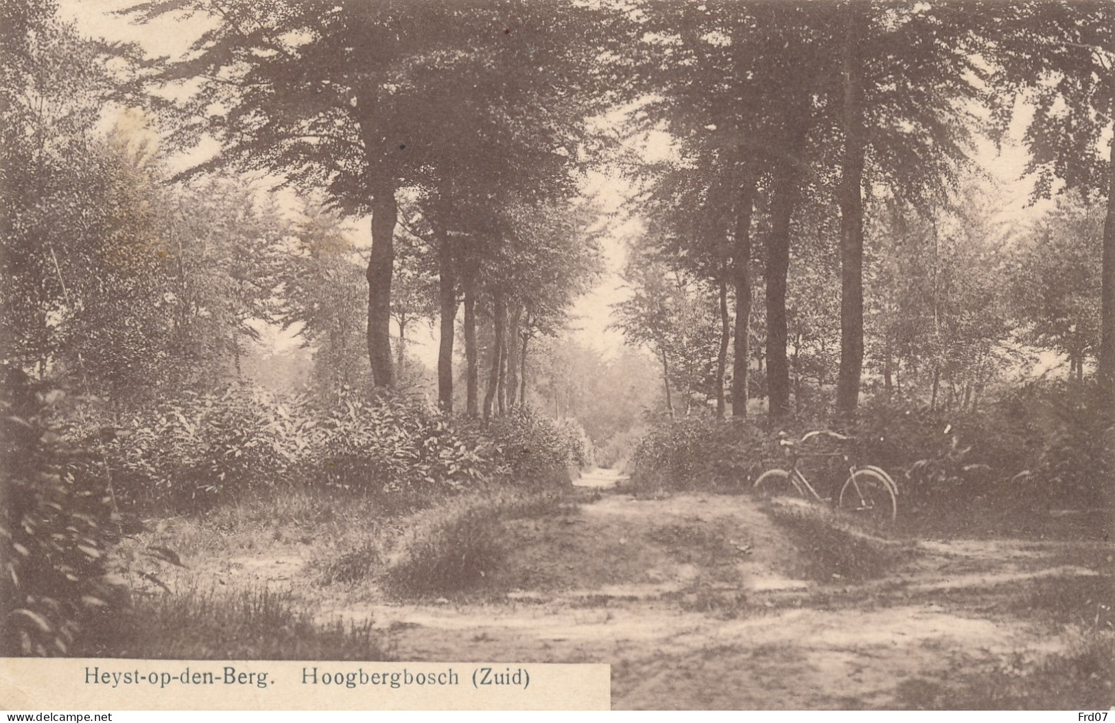 Heist Op Den Berg 1913 – Hoogbergbos (Zuid) - Heist-op-den-Berg