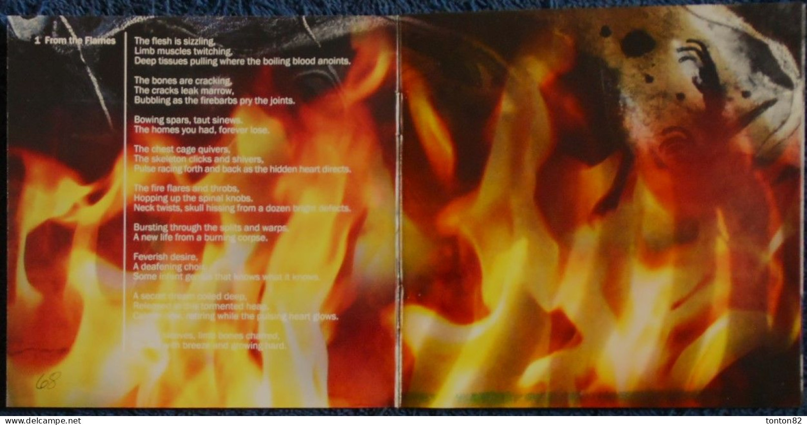 Rich Shapero - WILD ANIMUS - ( Sauvage Animus ) - Outside Reading - ( 2010 ) - Coffret avec un Livre et 3 CD .
