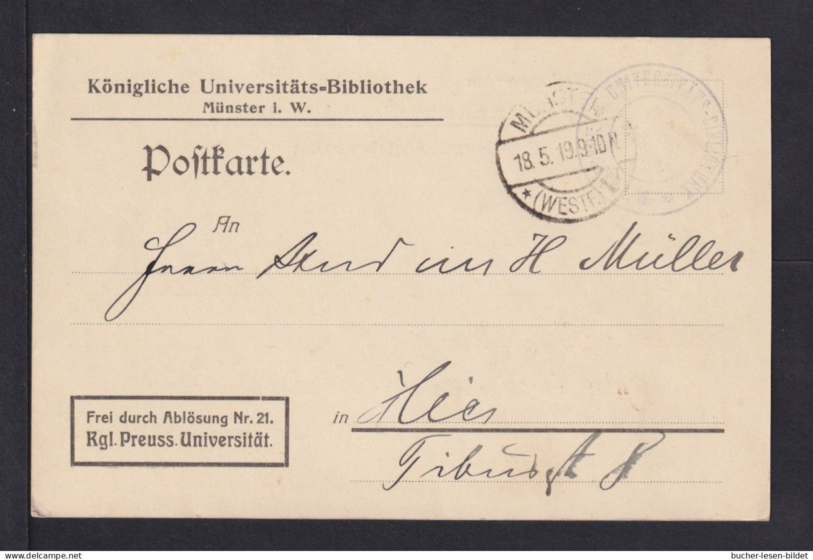 BILDUNG - 1919 - Protofreie Dienstkarte "Universität Münster" - Gebraucht - Natuur