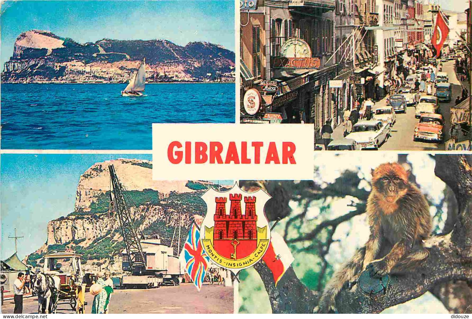 Gibraltar - Multivues - Singes - Blasons - Automobiles - CPM - Voir Scans Recto-Verso - Gibraltar