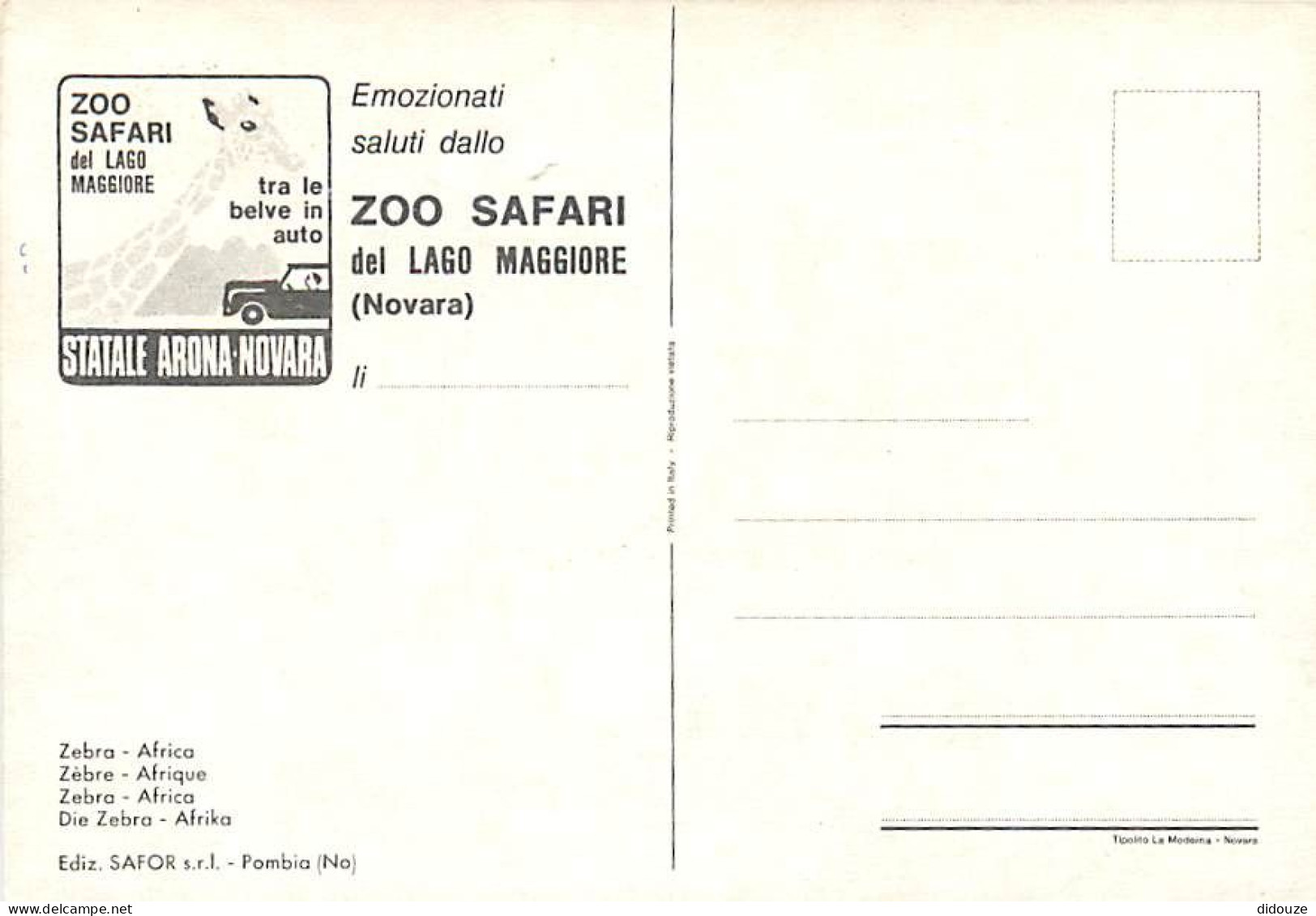 Animaux - Zèbres - Zoo Safari Del Laggo Maggiore - Statale Arona-Novara - CPM - Carte Neuve - Voir Scans Recto-Verso - Zebre