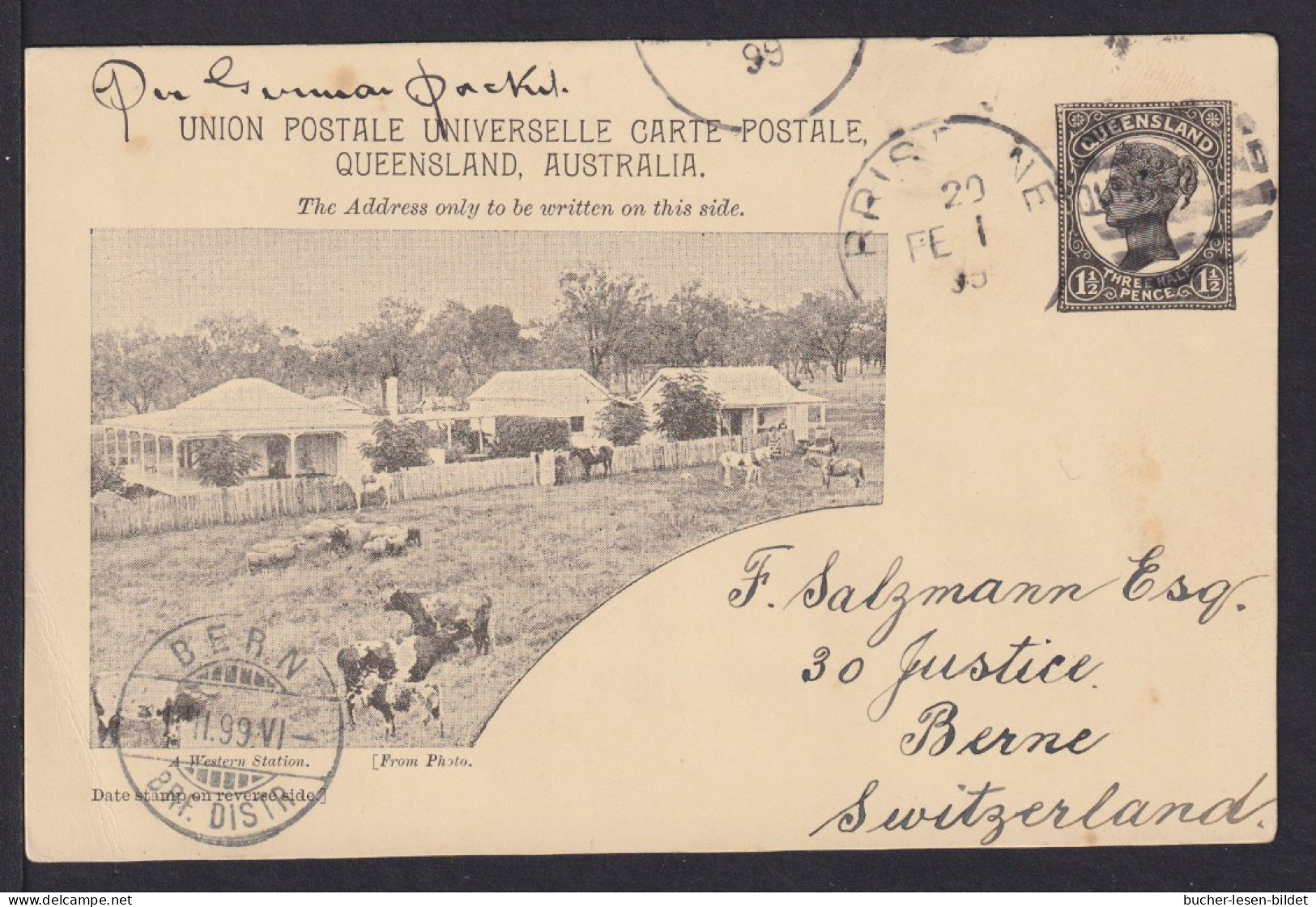 1 1/2 P. Bild Ganzsache "Tiere Auf Weide" - Gebraucht 1899 Ab Brisbane - Storia Postale
