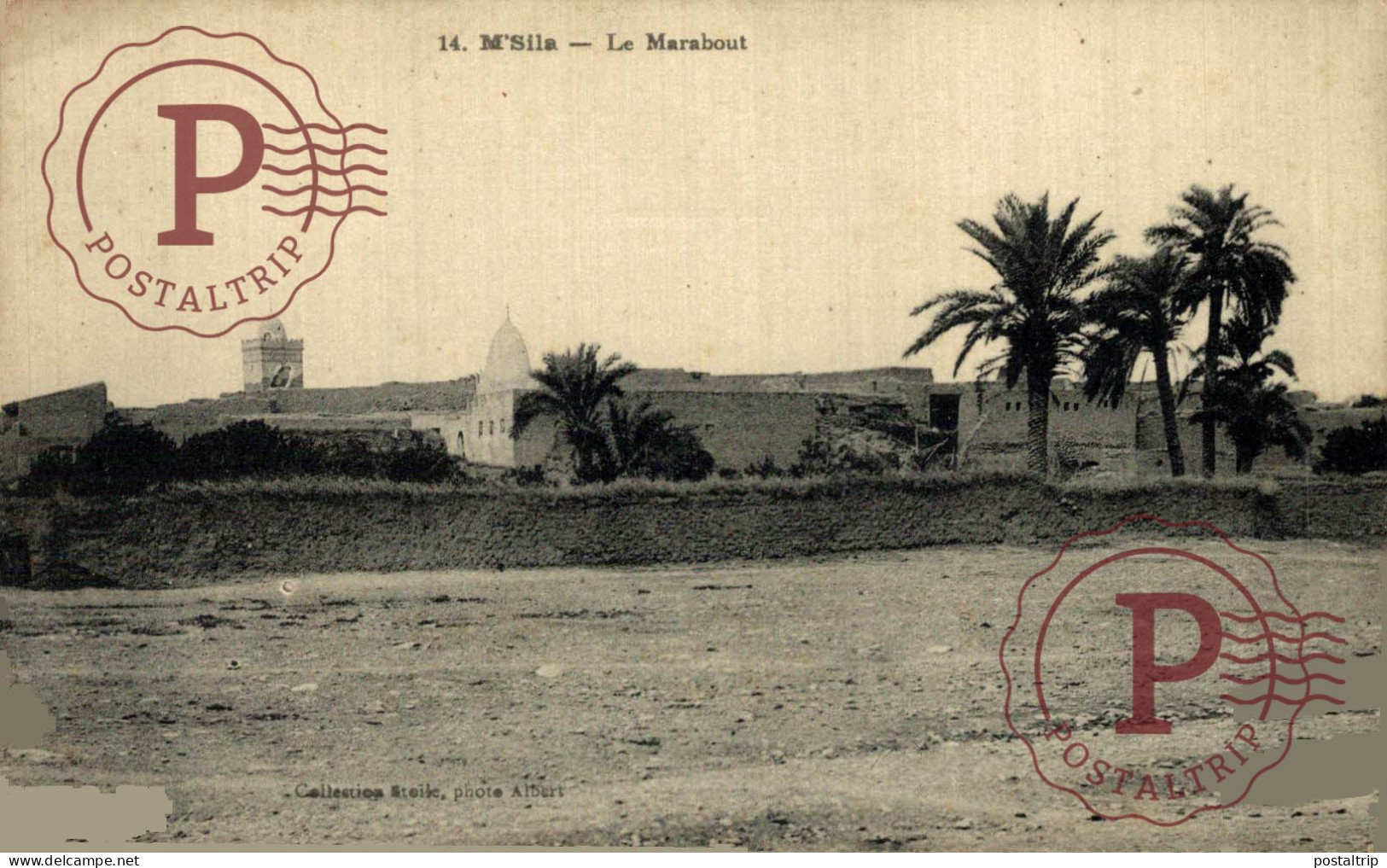 ARGELIA. ALGERIE. M'Sila Le Marabout - M'Sila