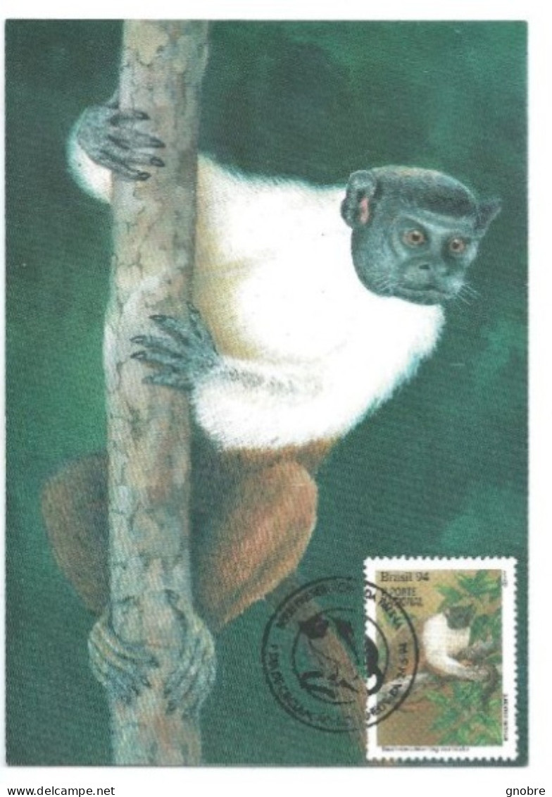 Brazil 1994 OFFICIAL MAXIMUM CARD MAX-186 SUIM DE COLEIRA MONKEY - Cartoline Maximum