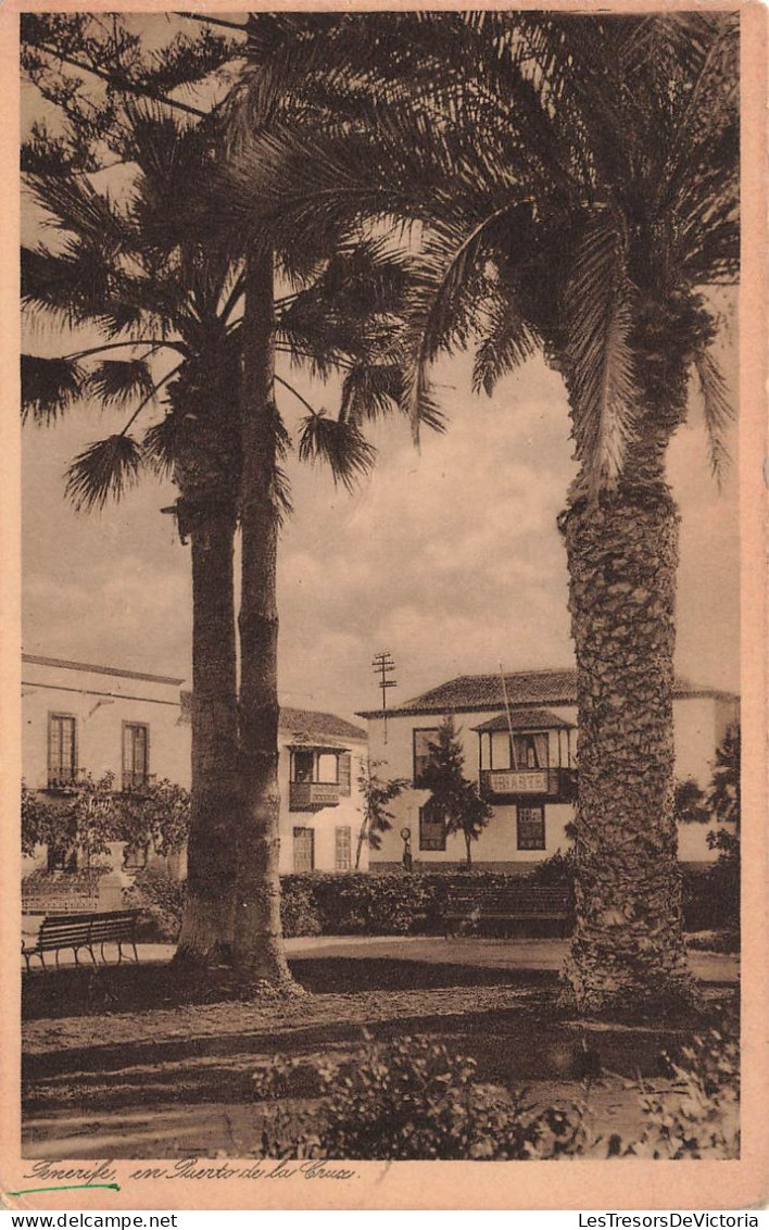 ESPAGNE -  Tenerife - En Thuerto De La Cruce - Vue Générale - Carte Postale Ancienne - Tenerife