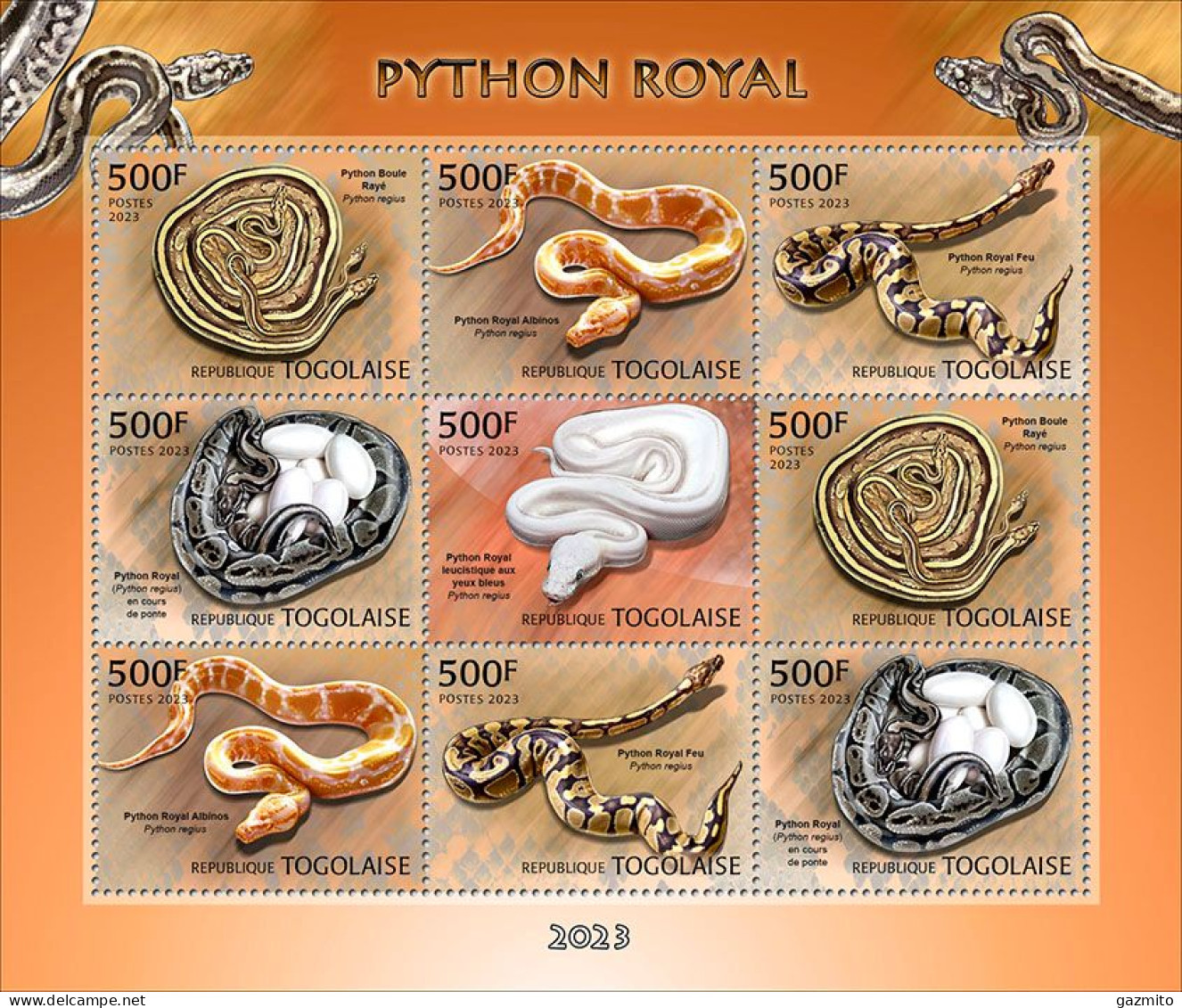 Togo 2023, Animals, Royal Python, 9val In BF - Serpenti