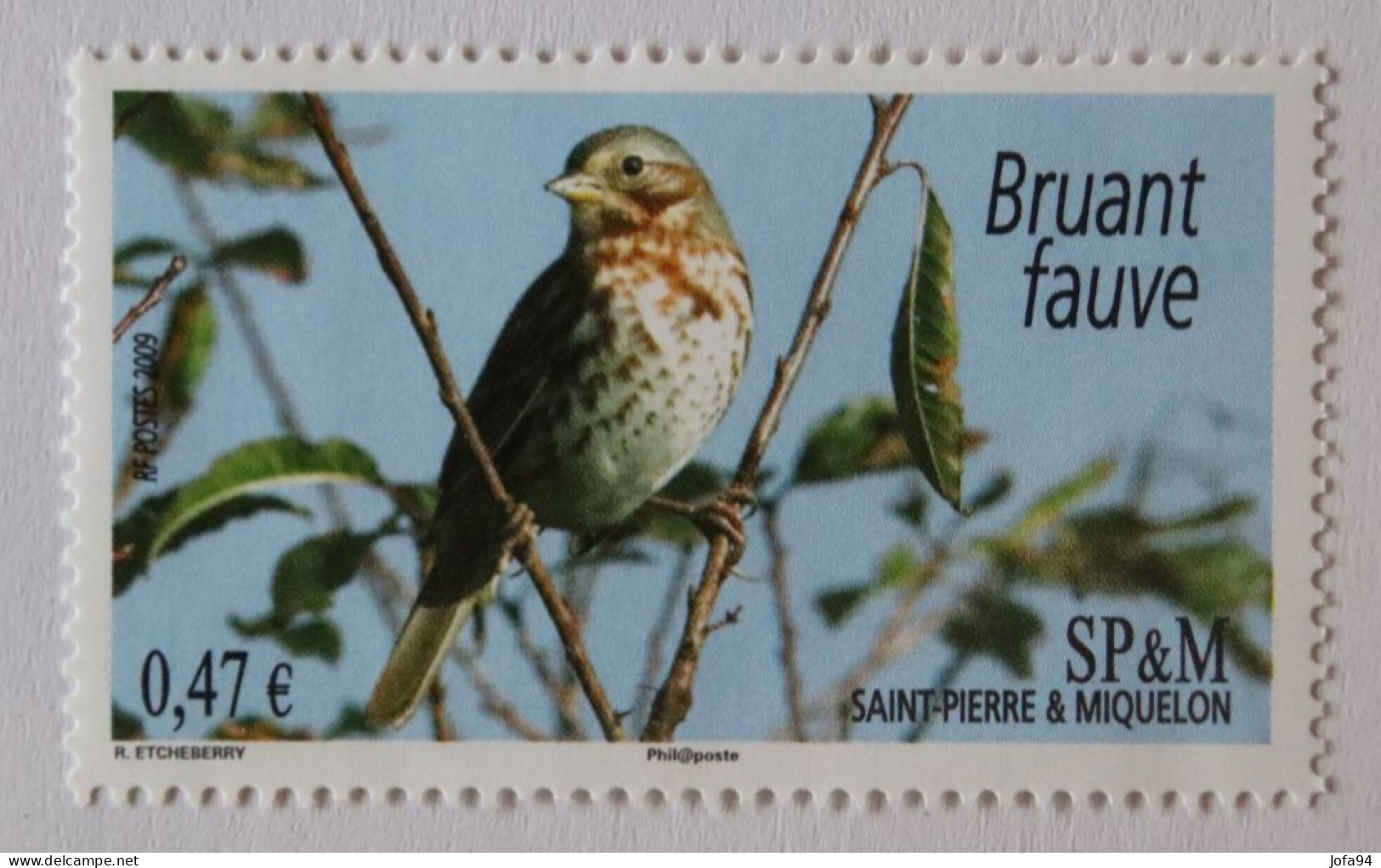 SPM 2009  Faune Oiseaux Le Bruant Fauve YT 939    Neuf - Unused Stamps