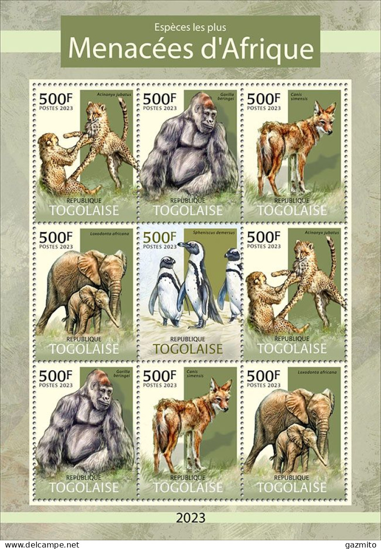 Togo 2023, Animals, Leopard, Gorilla, Elephant, Penguins, 9val In BF - Gorillas