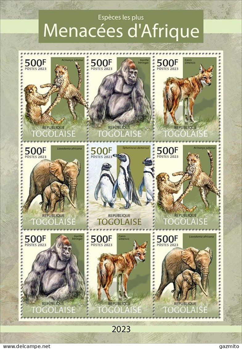 Togo 2023, Animals, Leopard, Gorilla, Elephant, Penguins, 9val In BF - Pinguïns & Vetganzen