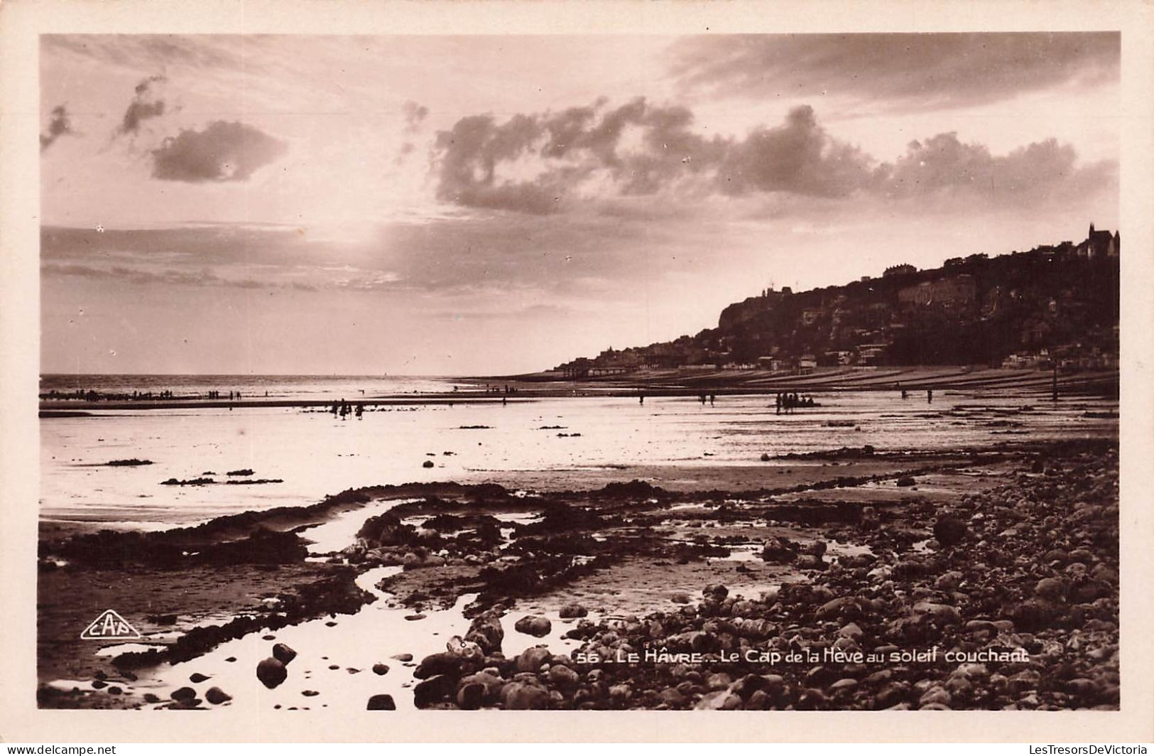 FRANCE - Le Havre - Le Cap De La Hève Au Soleil Couchant - Carte Postale - Cap De La Hève