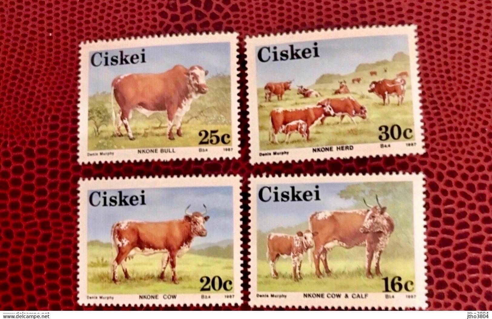 CISKEI Afrique Du Sud 1987 4v Neuf MNH ** YT 115 / 118  Mammifero Mammifère Mammal Mamífero Säugetiere  SOUTH Africa - Cows