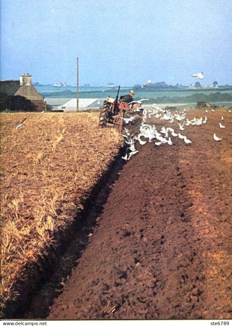 La France Grande Puissance La France Puissance Agricole Découvrir La France N° 108  1974 - Geography