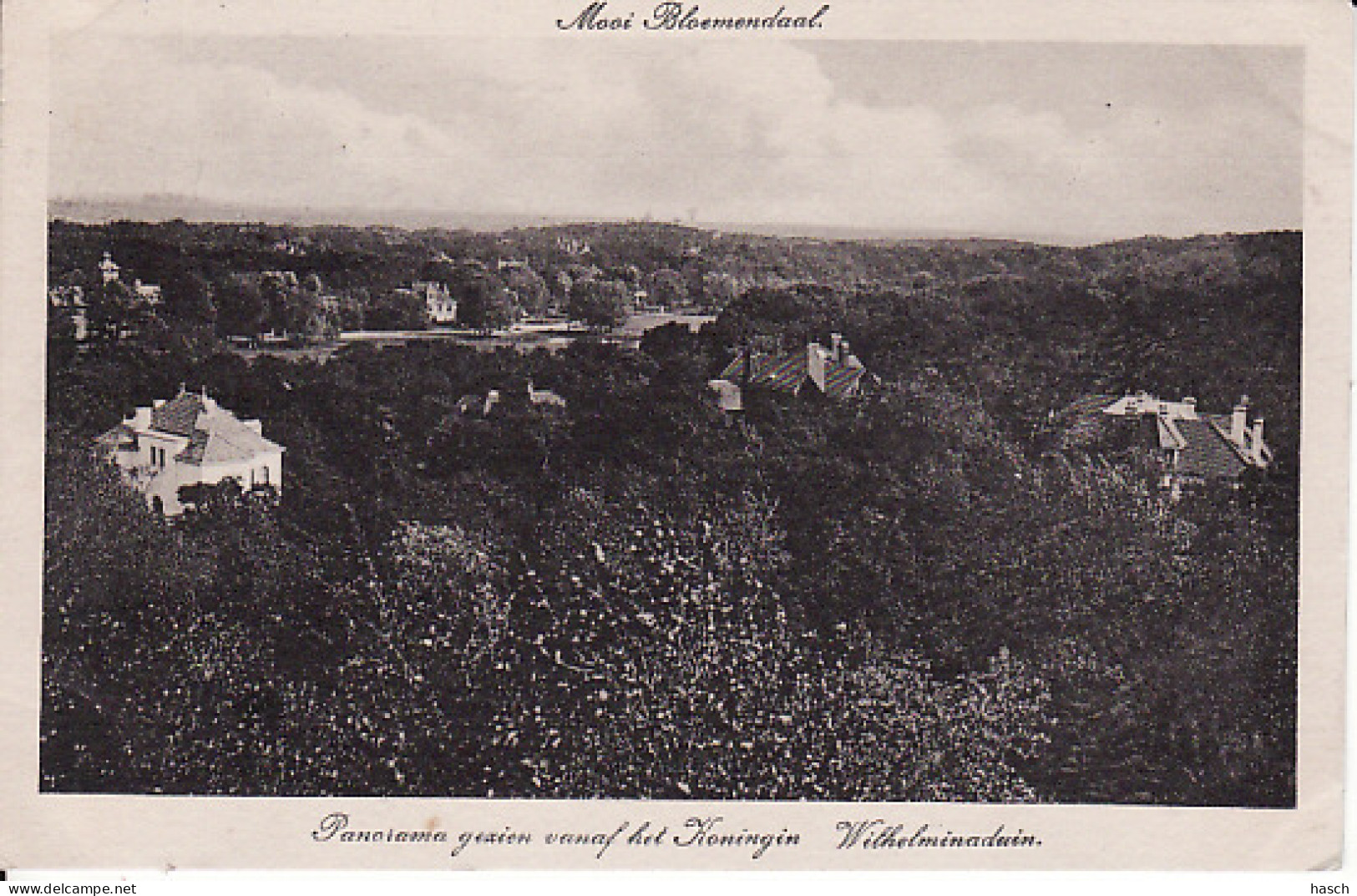 258975Bloemendaal, Panorama Gezien Vanaf Het Koningin Wilhelminaduin 1918 (rechts Boven Een Kleine Vouw) - Bloemendaal