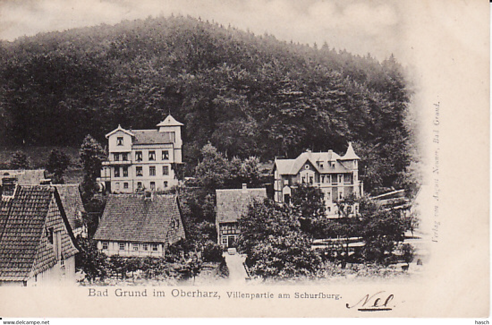 260248Bad Grund, Villenpartie Am Schurfburg 1902 - Bad Grund