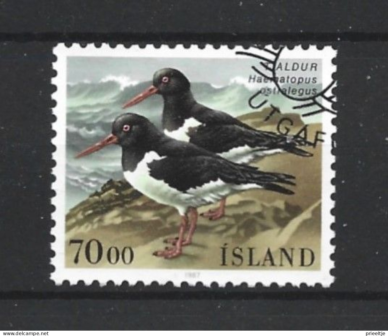 Iceland 1987 Birds Y.T. 623 (0) - Usados