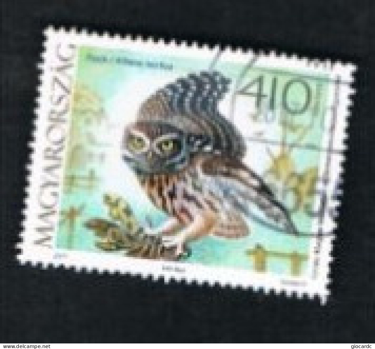 UNGHERIA (HUNGARY) -  SG 5598  - 2017 BIRDS: ATHENE NOCTUA   -  USED° - Used Stamps
