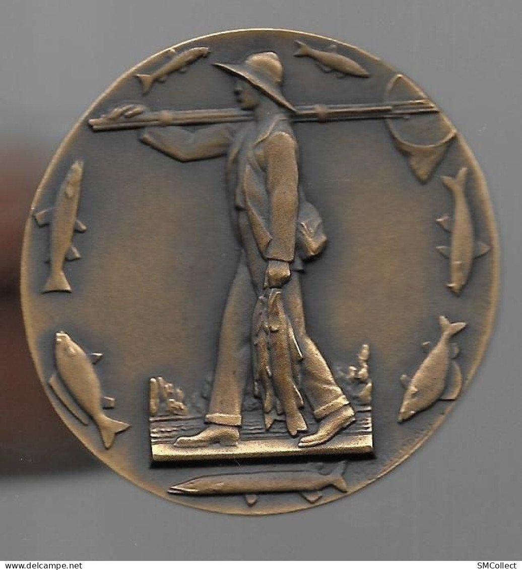 Montpellier, Les Chevaliers De La Gaule. Grosse Médaille En Bronze Dans Son écrin, Voir Description - Vissen