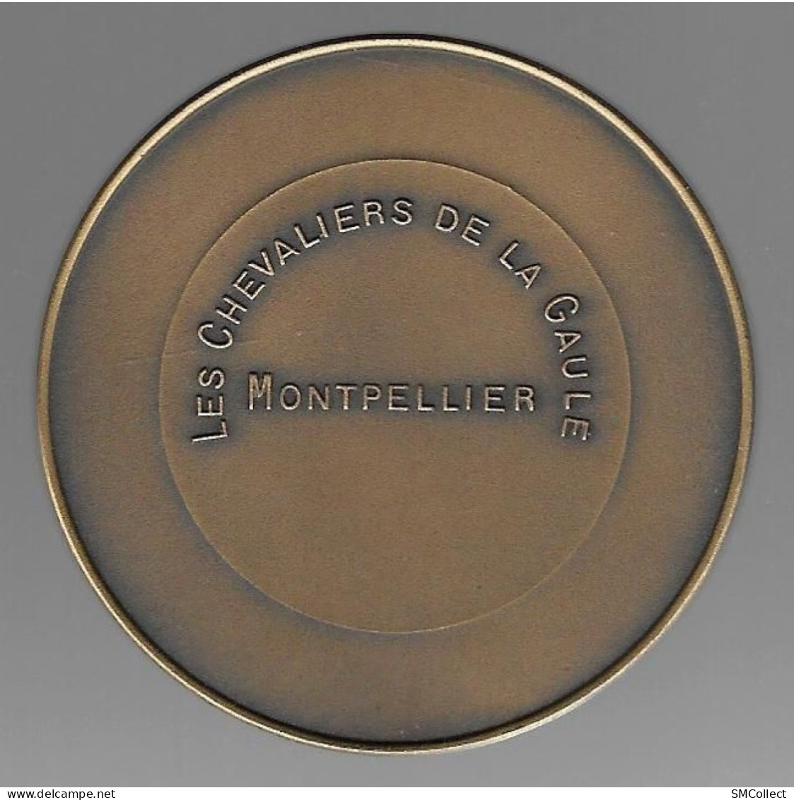 Montpellier, Les Chevaliers De La Gaule. Grosse Médaille En Bronze Dans Son écrin, Voir Description - Fishing