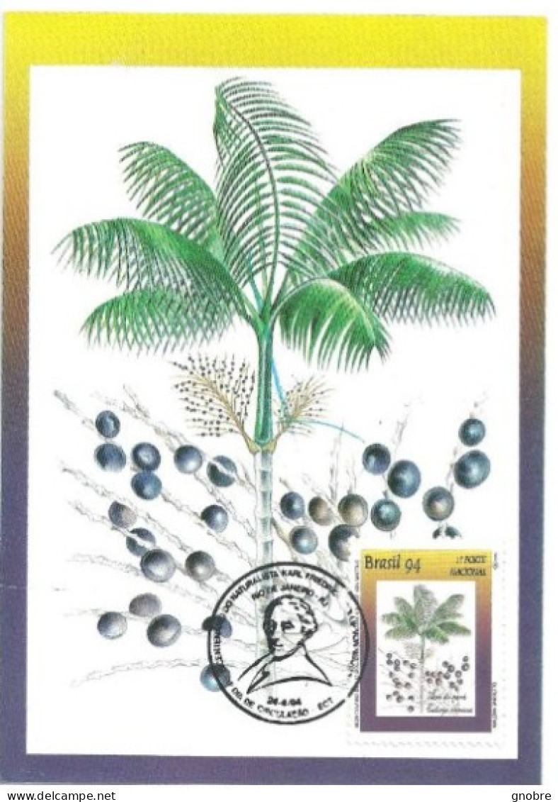 Brazil 1994 OFFICIAL MAXIMUM CARD MAX-183 KARL FRIEDRICH PHILLIP VON MARTIUS ACAI AÇAÍ - Maximumkarten