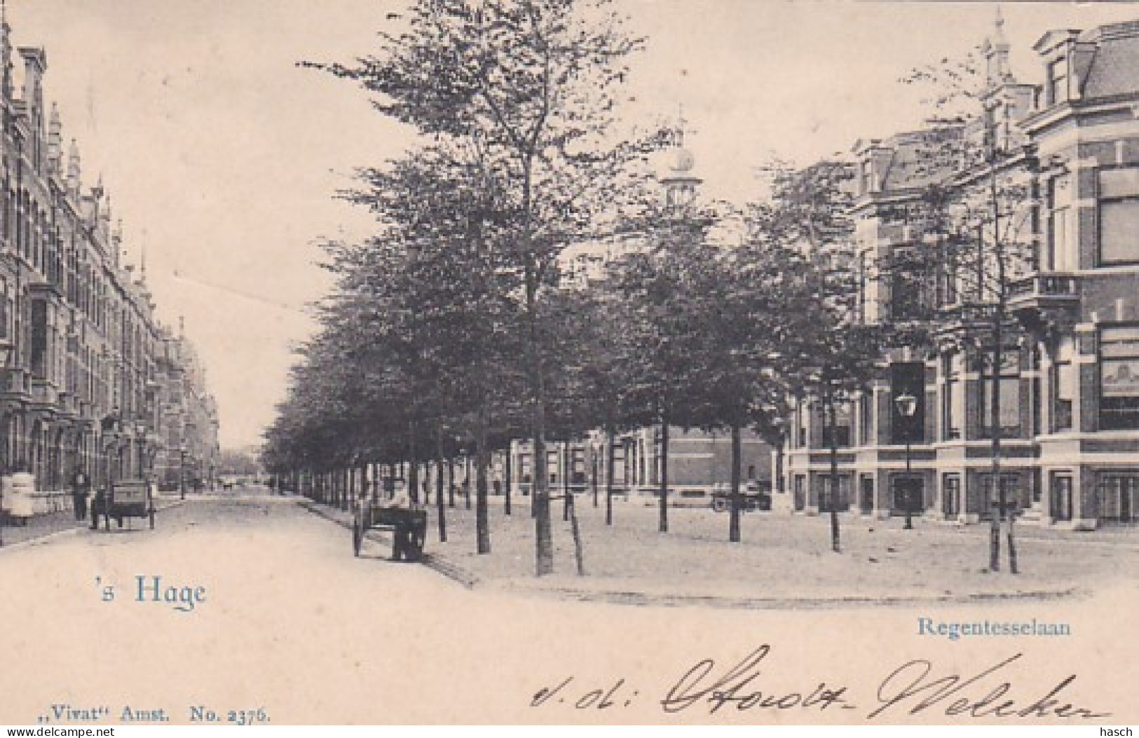 26101's Hage, Regentesselaan. (poststempel 1901) - Den Haag ('s-Gravenhage)