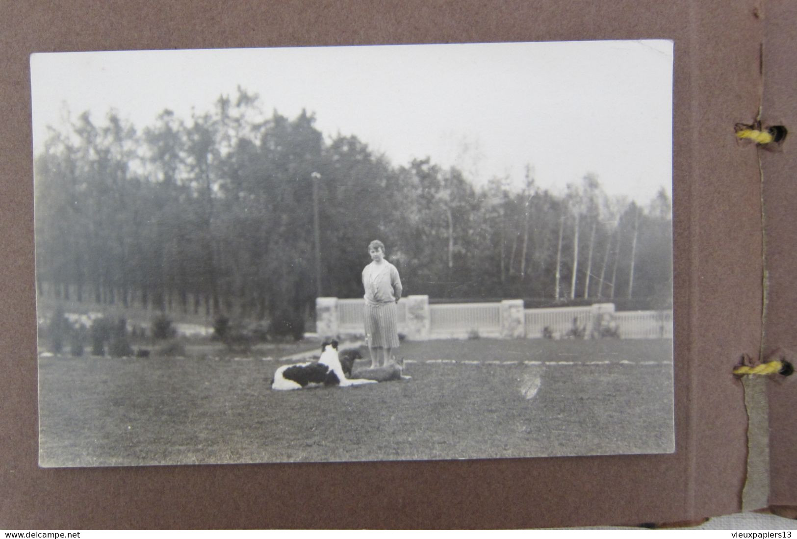 Petit album famille allemand 33 photos c.1920 jeune femme lapin poupée chiens militaire infirmières