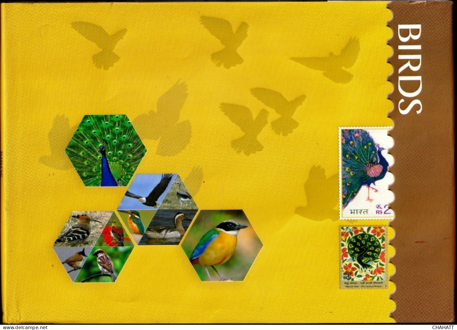 BIRDS OF INDIA- STAMP ALBUM- BEAUTIFULLY CURATED STAMP ALBUM WITH SPACE FOR STAMPS- ILLUSTRATED-BX4-36 - Vida Salvaje