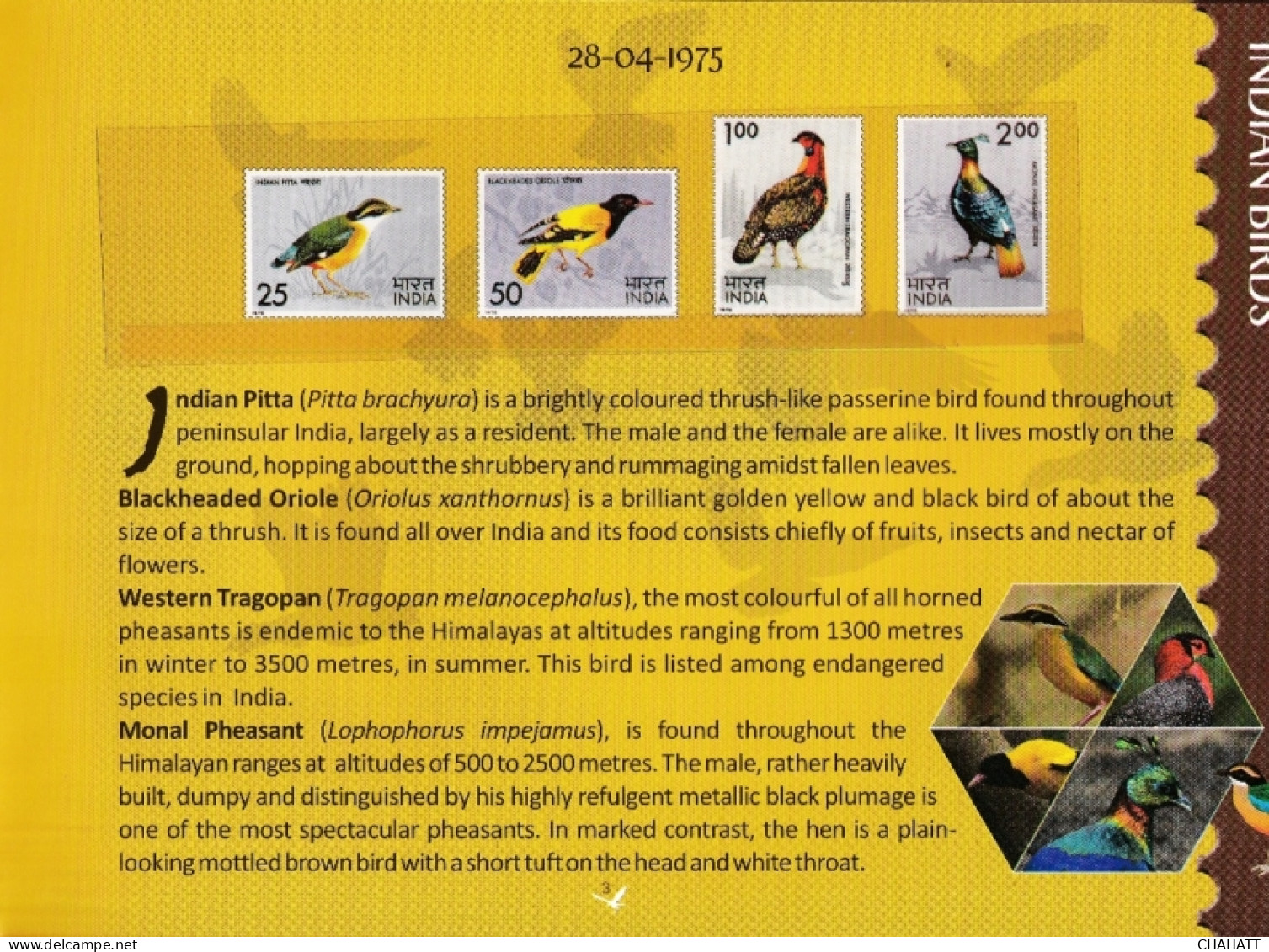 BIRDS OF INDIA- STAMP ALBUM- BEAUTIFULLY CURATED STAMP ALBUM WITH SPACE FOR STAMPS- ILLUSTRATED-BX4-36 - Vida Salvaje