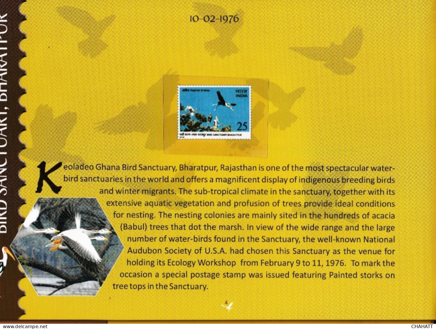 BIRDS OF INDIA- STAMP ALBUM- BEAUTIFULLY CURATED STAMP ALBUM WITH SPACE FOR STAMPS- ILLUSTRATED-BX4-36 - Vida Salvaje