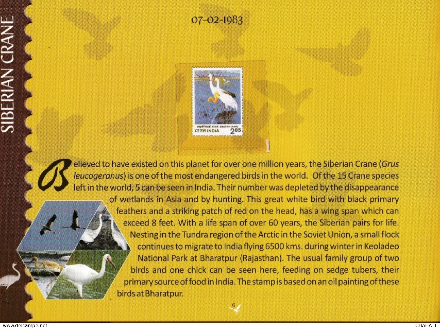 BIRDS OF INDIA- STAMP ALBUM- BEAUTIFULLY CURATED STAMP ALBUM WITH SPACE FOR STAMPS- ILLUSTRATED-BX4-36