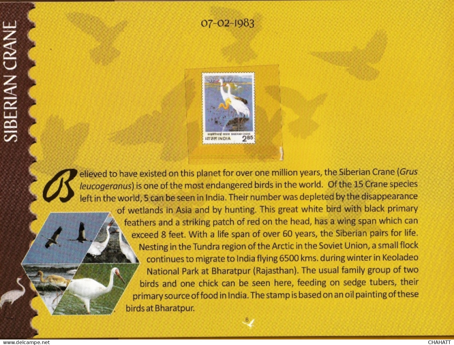 BIRDS OF INDIA- STAMP ALBUM- BEAUTIFULLY CURATED STAMP ALBUM WITH SPACE FOR STAMPS- ILLUSTRATED-BX4-36