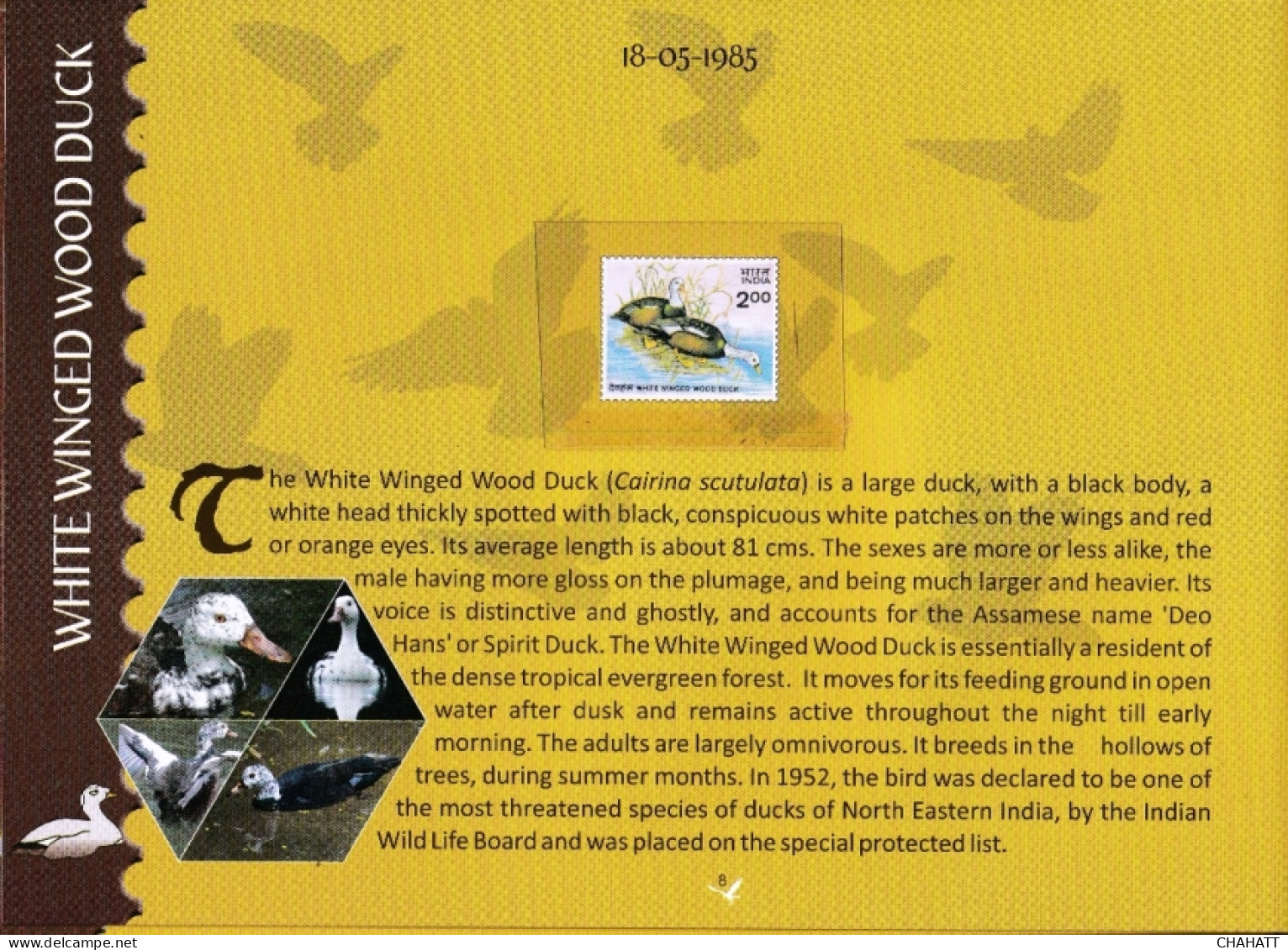 BIRDS OF INDIA- STAMP ALBUM- BEAUTIFULLY CURATED STAMP ALBUM WITH SPACE FOR STAMPS- ILLUSTRATED-BX4-36