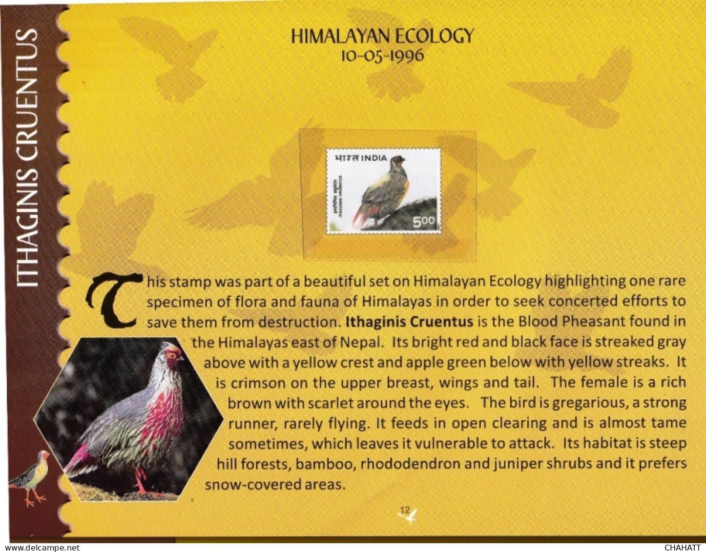 BIRDS OF INDIA- STAMP ALBUM- BEAUTIFULLY CURATED STAMP ALBUM WITH SPACE FOR STAMPS- ILLUSTRATED-BX4-36