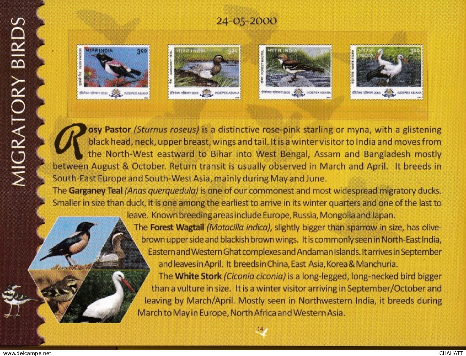 BIRDS OF INDIA- STAMP ALBUM- BEAUTIFULLY CURATED STAMP ALBUM WITH SPACE FOR STAMPS- ILLUSTRATED-BX4-36