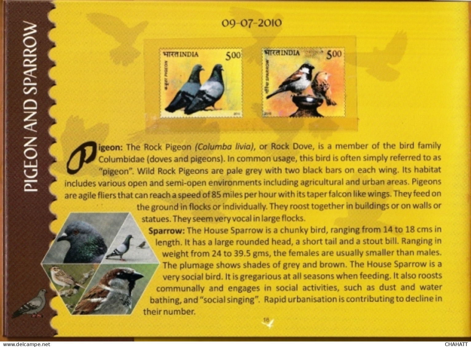 BIRDS OF INDIA- STAMP ALBUM- BEAUTIFULLY CURATED STAMP ALBUM WITH SPACE FOR STAMPS- ILLUSTRATED-BX4-36