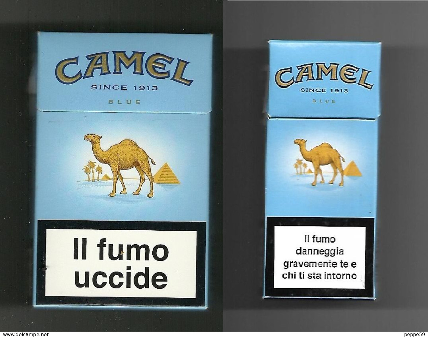 Pacchetti Di Sigarette ( Vuoti ) - Camel Blue Da 10 E 20 Pezzi - Etuis à Cigarettes Vides