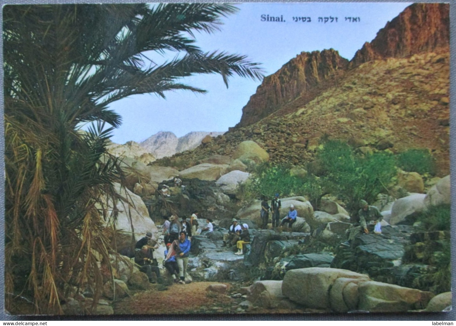 ISRAEL EILAT SINAI DESERT WADI ZALKA OASIS EGYPT POSTCARD CARTE POSTALE ANSICHTSKARTE CARTOLINA POSTKARTE CARD - Sharm El Sheikh