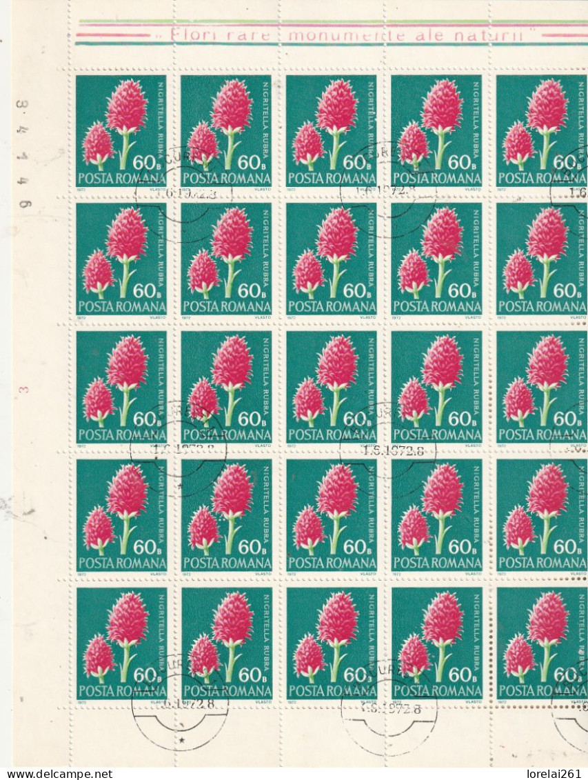 1972 - FLORE / FULL X 25 - Full Sheets & Multiples