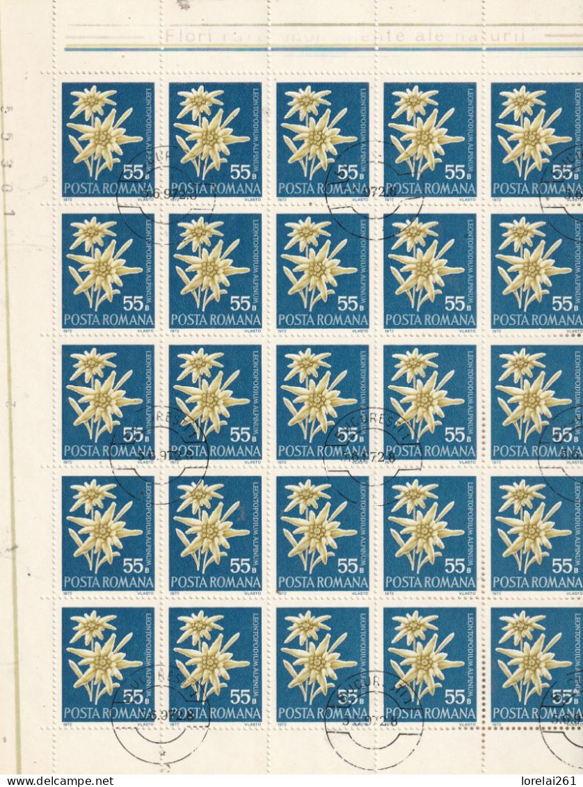 1972 - FLORE / FULL X 25 - Feuilles Complètes Et Multiples